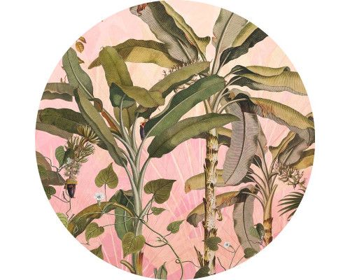 Botanische Pflanzen und Dschungelthema auf einem Wandkreis.