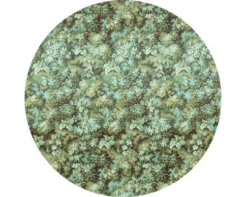 Grüne Natur mit verschiedenen Pflanzen auf einem Wandkreis für ein natürliches Aussehen.