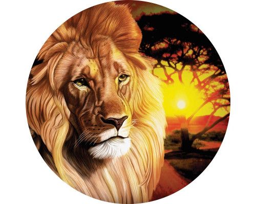 Leeuw in een zonsondergang op een indrukwekkende behangcirkel voor dierenliefhebbers.