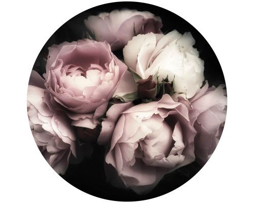 Roze en witte pioenrozen in volle bloei, gedetailleerd weergegeven op een behangcirkel met levensechte accenten.