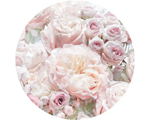 Rosen in voller Blüte auf einem schönen Mauerkreis.