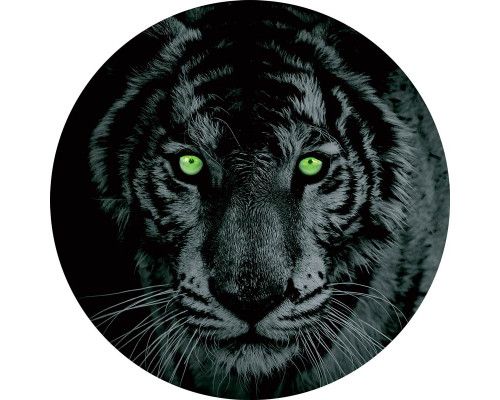 Een tijger met groene ogen op een stoere behangcirkel, ideaal voor een avontuurlijke kinderkamer.
