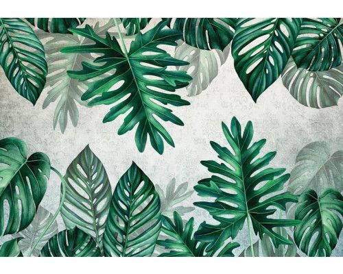 Botanische Blätter Fototapete mit Dschungelthema, geeignet für ein grünes und verspieltes Kinderzimmer oder Dschungelzimmer.