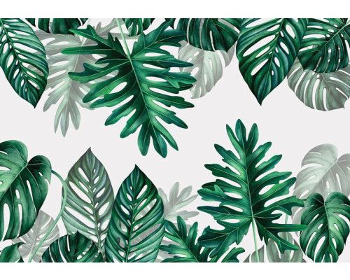 Botanische Blätter Fototapete mit tropischen Blättern in einer Dschungelumgebung, ideal für eine natürliche Atmosphäre.