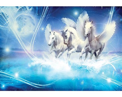 Fototapete eines schönen Einhorns.