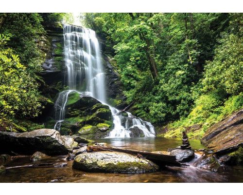 Fototapete eines bezaubernden Wasserfalls, der durch einen Wald fließt, umgeben von dichten Bäumen und Natur.