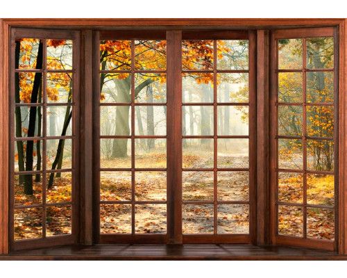 Fototapete einer 3D-Fensteransicht eines Herbstwaldes, mit warmen Herbstfarben.