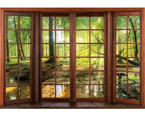 Fototapete einer 3D-Fensteransicht einer sonnigen Waldlandschaft, mit Bäumen und einem warmen Licht.
