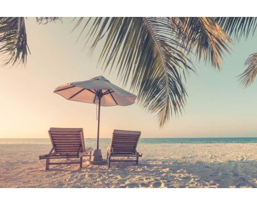 Fototapete eines tropischen Strandes mit Liegestühlen unter Palmen, umgeben von klarem blauen Meer und weißen Sandstränden.