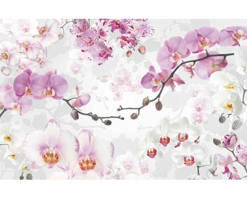 Rosa Blumen mit einem eleganten Look, dargestellt in dieser Fototapete, ideal für ein anspruchsvolles Zimmer.