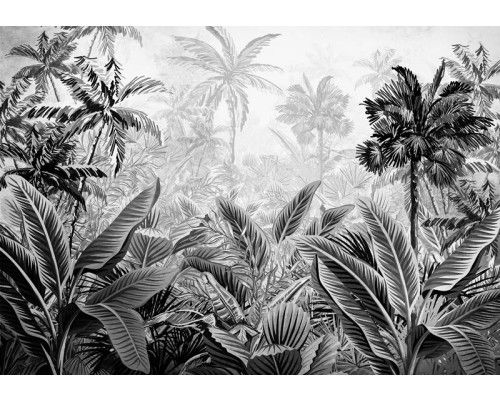 Tropische Dschungel-Fototapete mit amazonischen Pflanzen und Natur für eine exotische Atmosphäre.