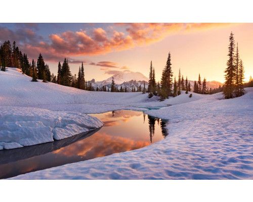 America the Beautiful Winterlandschaft Fototapete, mit einer schönen verschneiten Landschaft.