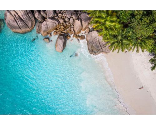 Fototapete eines tropischen Paradieses mit Palmen, klarem blauen Wasser und einem goldenen Strand unter strahlender Sonne.