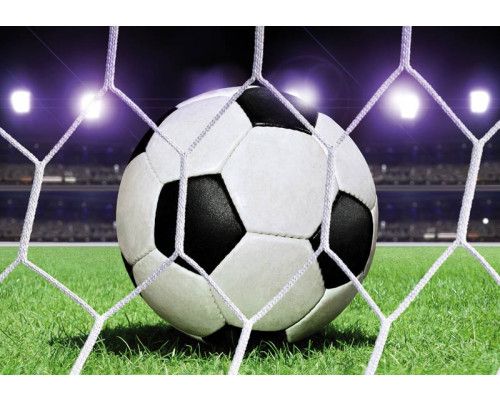 Fußball im Tor auf einem Stadion Rasenplatz, schöne Fototapete für Kinder.