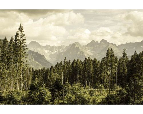 Fototapete von Bergtälern und Waldrändern, mit einer schönen Landschaft von grünen Hügeln und Bergen.