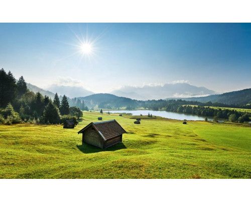 Bergwiese Karwendel Fototapete, die eine friedliche Morgensonne über den Wiesen zeigt.
