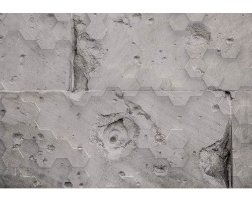 Marienkäfer in einer natürlichen Umgebung auf einer Fototapete.