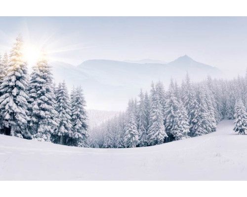 Fototapete einer bezaubernden Winterlandschaft mit schneebedeckten Bergen und Bäumen und einem klaren blauen Himmel.