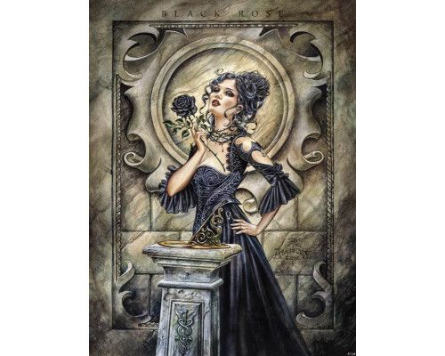 Fototapete von einer schwarzen Rose mit Alchemie Thema, geheimnisvoll und dunkel.