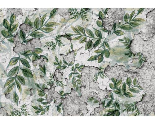 Fototapete mit Blättern auf einer Betonwand, Pflanzen für einen natürlichen Touch.