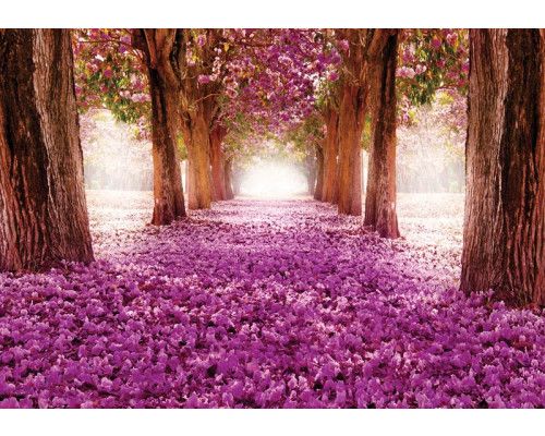 Blumen und Bäume in einem 3D-Tunnel, eine Fototapete mit surrealem und natürlichem Aussehen.
