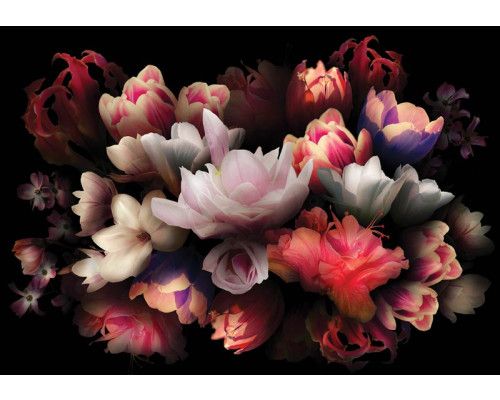 Bunter Blumenstrauß Fototapete, lebendige und fröhliche Farben.