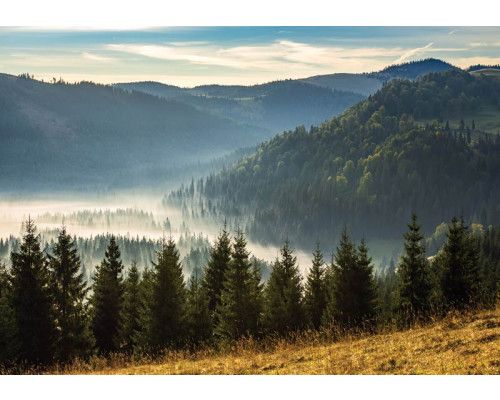 Nebelverhangene Berge und heitere Natur vereinen sich auf dieser Fototapete zu einer ruhigen und mystischen Atmosphäre.