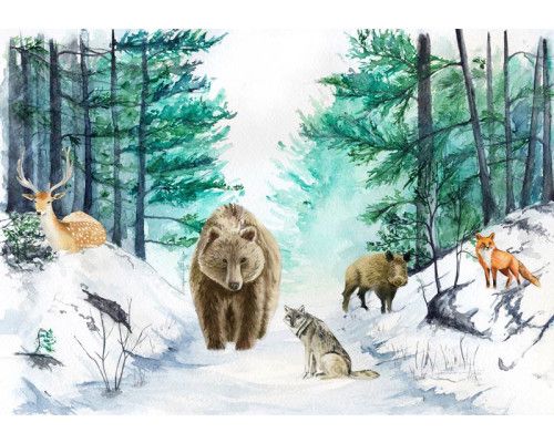 Fototapete mit Waldtieren wie Bär, Hirsch, Wolf und Fuchs in einer malerischen Abenteuerlandschaft. Ein verspieltes und charmantes Design.