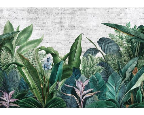 Fototapete mit botanischen Dschungelpflanzen in einer üppigen und tropischen Umgebung.