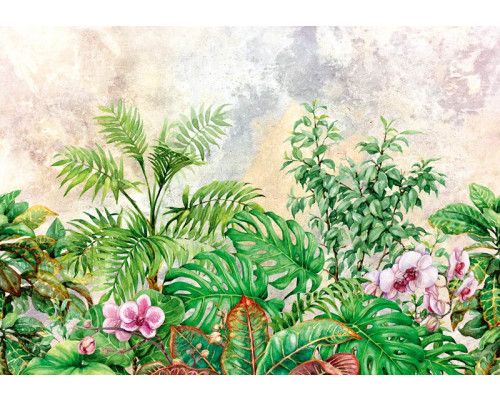 Fototapete mit Dschungelpflanzen und Blättern im botanischen Stil, frische grüne Farben für einen lebendigen Raum.