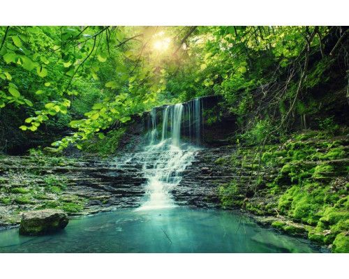 Fototapete eines kaskadenartigen Wasserfalls, der durch einen Wald und Dschungel mit dichter Vegetation und natürlicher Pracht fließt.
