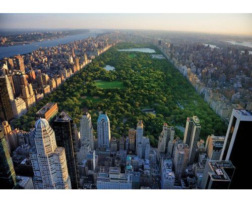 Fototapete des Central Park in New York, mit Blick auf Manhattan.