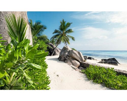 Tagträumen von Sonne, Meer und Strand mit Palmen.