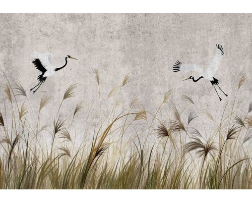 Fototapete Tanzende Kraniche über dem hohen Gras