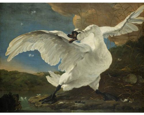 Fototapete des Gemäldes Der bedrohte Schwan von Jan Asselijn.