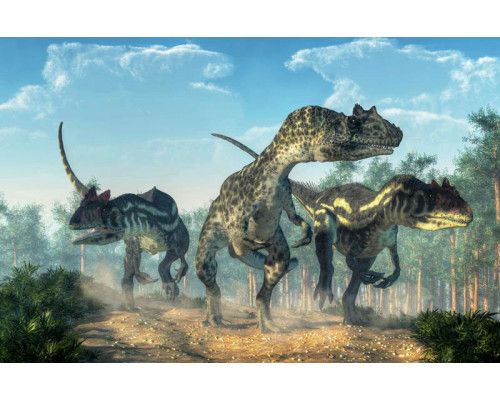 Auf dieser Fototapete bewegen sich Dinosaurier durch den Wald, während Bäume und Pflanzen ihren Weg skizzieren.