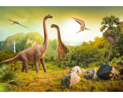 Goldener Marmor und Federmuster verschmelzen auf dieser Fototapete, die einen eleganten und industriellen Look hat.