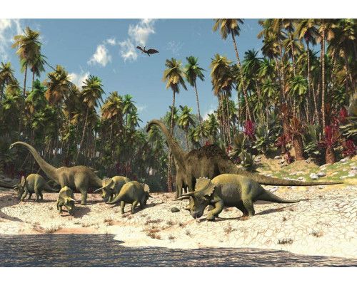 Fußball-Fototapete für Jugendliche und Kinder, sportlich und dynamisch.