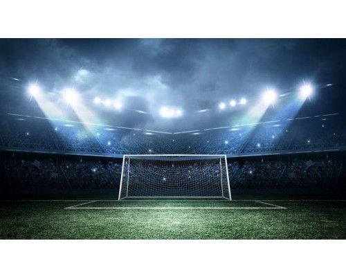 Fototapete eines Fußballs, der in einem Stadion auf ein Tor zufliegt, aufgenommen im Moment eines wichtigen Treffers.