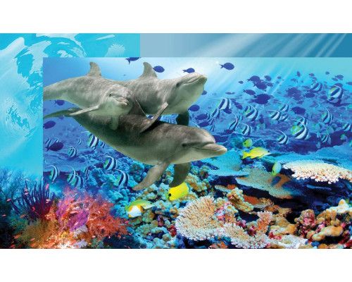 Delphine im Kinderzimmer, eine fröhliche Fototapete mit Fischen und Meeresbewohnern, ideal für ein Aquarium-Thema.