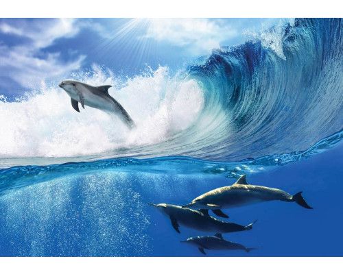 Springende Delfine auf den Wellen eines klaren Ozeans, dargestellt in leuchtenden blauen Farben auf dieser Fototapete.