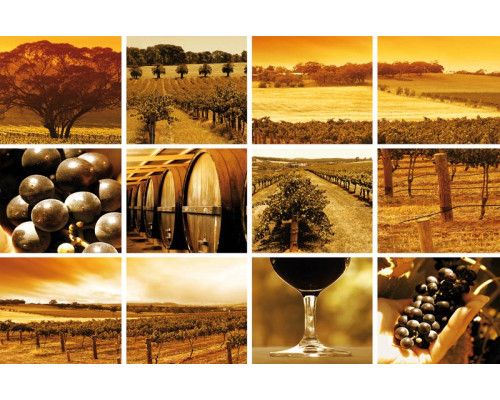 Fototapete mit Weinbergen und Traubenfeldern, kombiniert mit Weingläsern und französischen Landschaften.