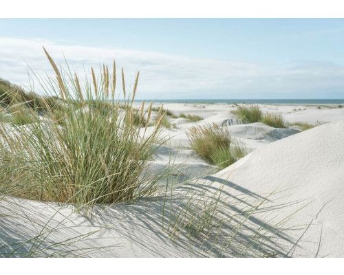 Fototapete mit weißen Sanddünen, Strandhafer und blauem Himmel an der Küste.
