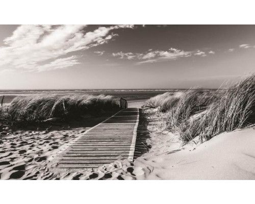 Schwarz-Weiß-Fototapete mit Dünen und Strand, ideal für einen minimalistischen und ruhigen Look.