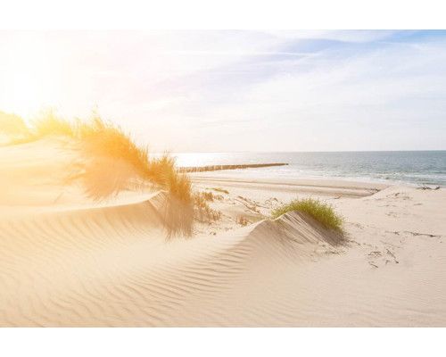 Fototapete von Dünen, die sanft zum Strand führen, mit klarem blauen Himmel und ruhigem Meer.
