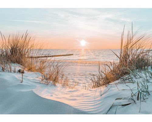 Fototapete, die einen Sonnenaufgang über einem Strand und Dünen zeigt, mit einem ruhigen Meer im Hintergrund.