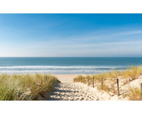 Fototapete von einem Dünenweg, der zum Meer führt, mit Dünen und einem klaren blauen Himmel im Hintergrund.