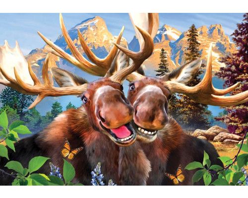 Elche in einem verrückten Rennen, Fototapete mit glücklichen Tieren für Kinder und Spielzimmer.