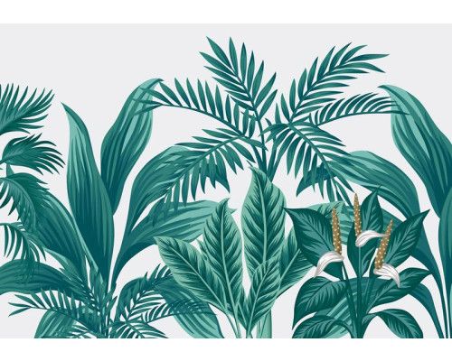 Exotische Pflanzen in einer tropischen Dschungelumgebung, eine Fototapete, die die Natur mit frischen Grüntönen zum Leben erweckt.