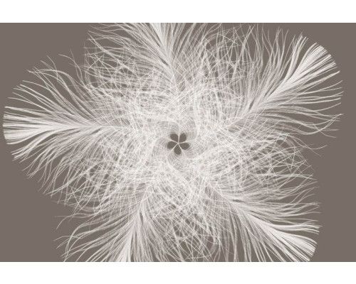 Federster abstrakte Fototapete mit einem modernen Kunstwerk, das jedem Raum eine kreative Note verleiht.